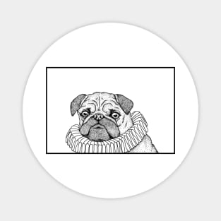 A pug Magnet